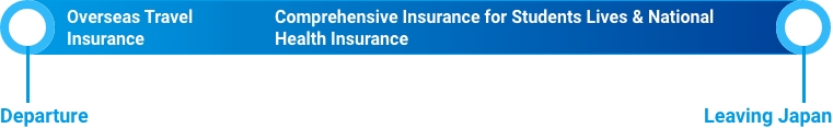 National Health Insurance