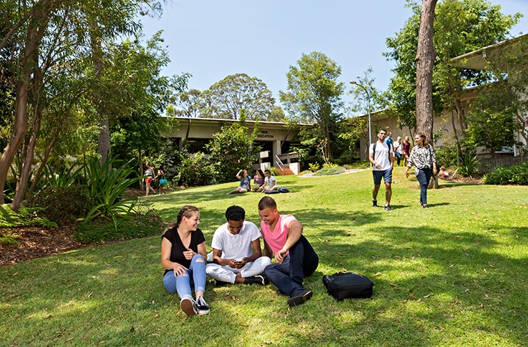 Griffith University