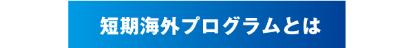 語学研修プログラムとは