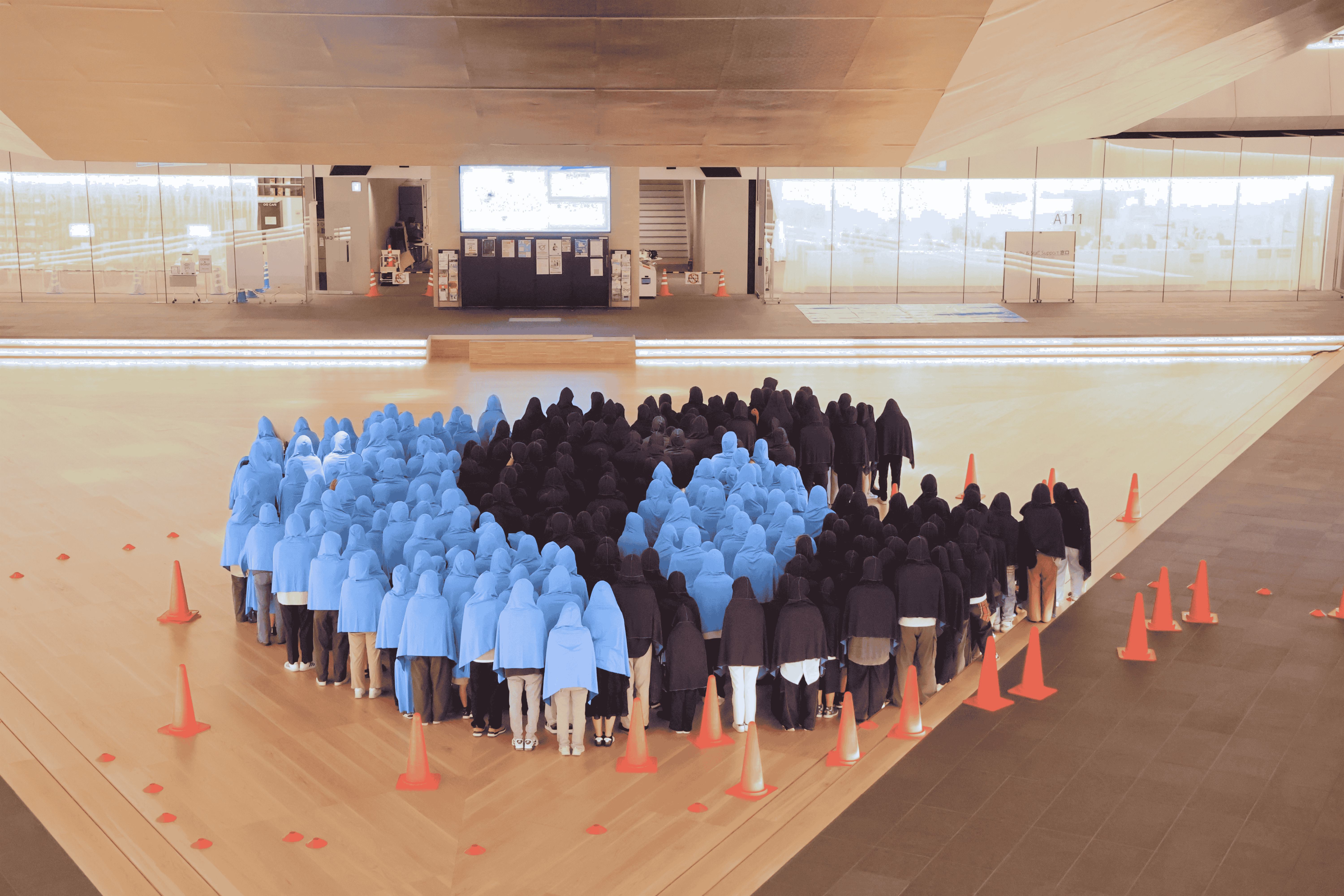 newsrelease005.jpg