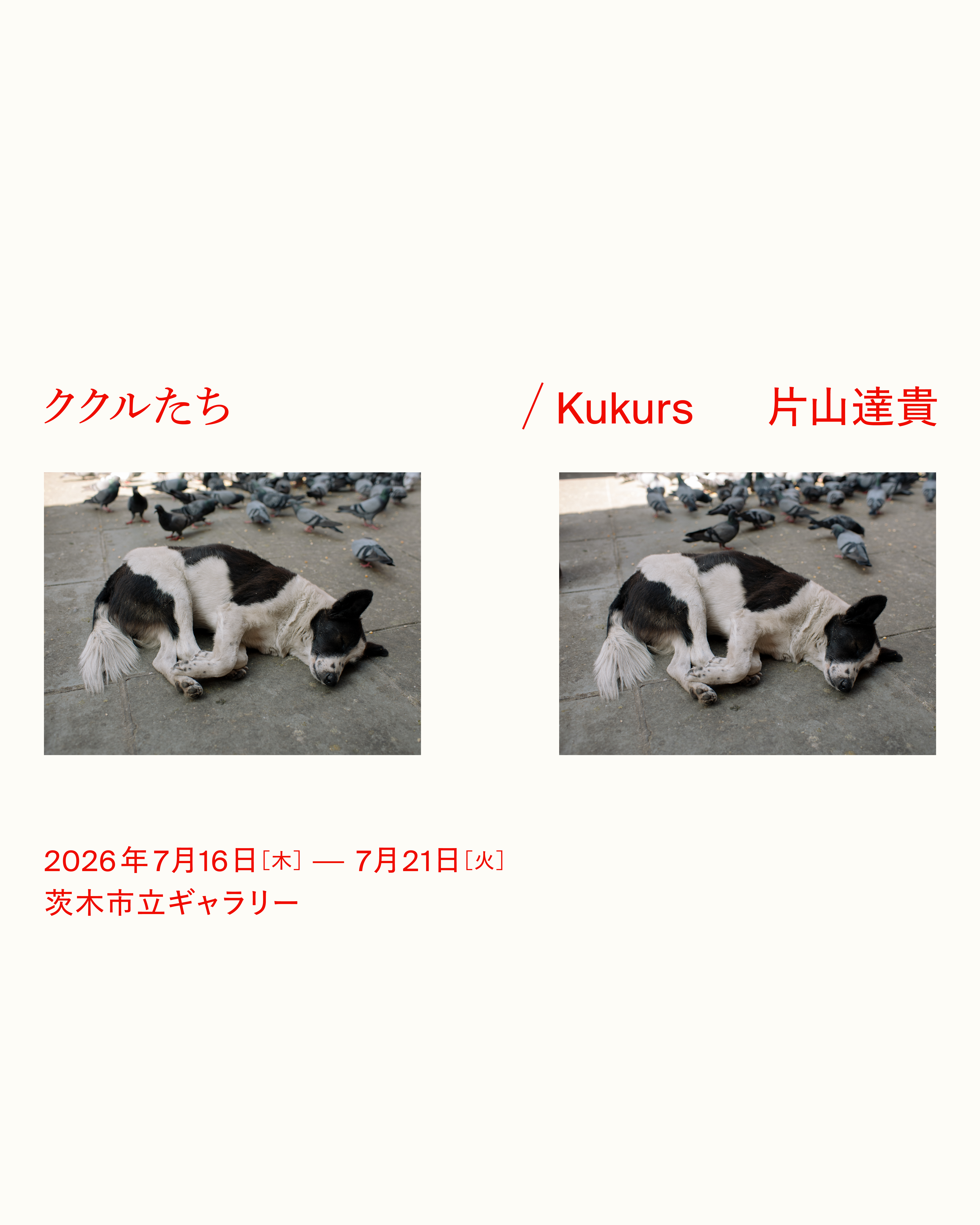 mv.webp