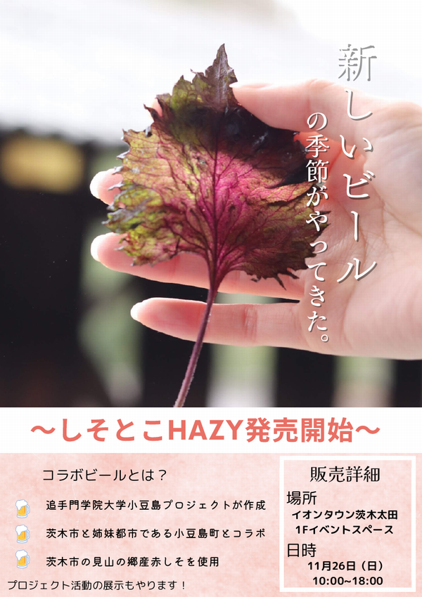 イオンタウンしそとこHAZY販売チラシ